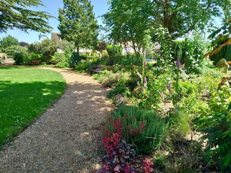 back garden with plants and shrubbery